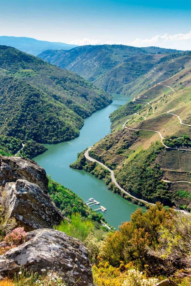 Meandro del Miño rodeado de viñedos en bancales de la Ribeira Sacra, Lugo