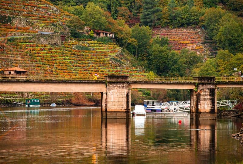 Catamarán navegando por el cañón del Sil en la Ribeira Sacra