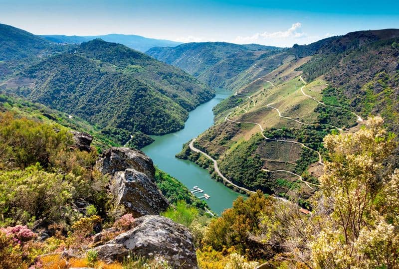 Mirador sobre los viñedos en bancales de la Ribeira Sacra, Lugo
